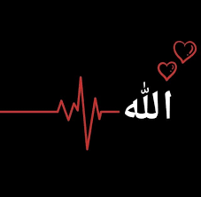 Islam: A Blessing from Allah ﷻ