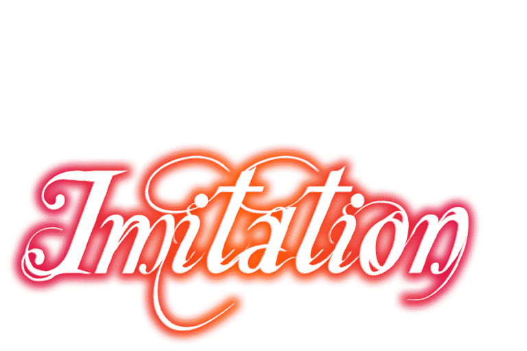 The Meaning Of Imitation