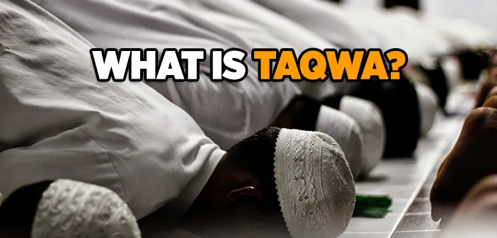The Meaning of Taqwaa