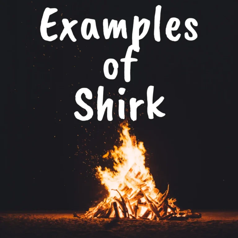 Examples of Shirk