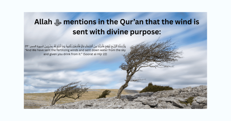 Qur’an verse about the wind Surah Al-Hijr 22, Hadith of Prophet Muhammad ﷺ about not cursing the wind, Muslim reciting du’aa during a storm, Windstorm as a natural sign from Allah ﷻ, Prophet Muhammad ﷺ guidance on natural events