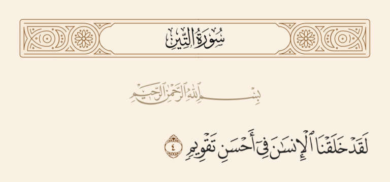 The Signs of Tawheed in the Creation of the Human Body
