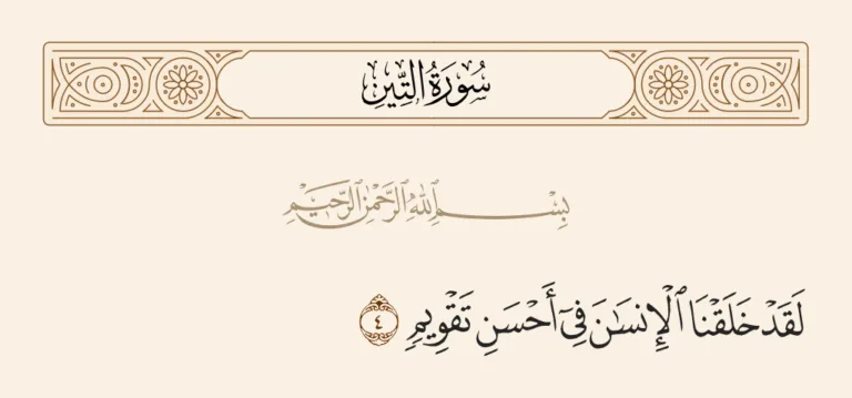 The Signs of Tawheed in the Creation of the Human Body