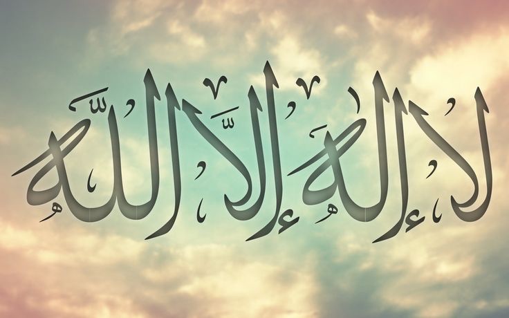 The Signs of Tawheed in Allah’s ﷻ Creation